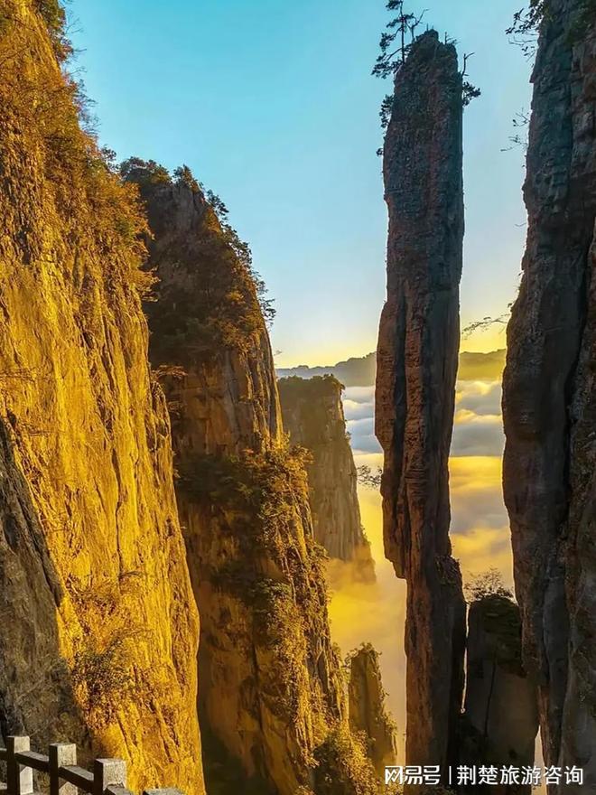 佳！信誉高 + 实力强靠谱推荐不踩坑！凯