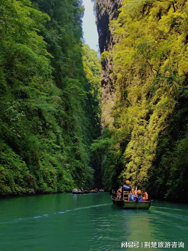 佳！信誉高 + 实力强靠谱推荐不踩坑！凯发k8娱乐唯一2025 武汉旅行社十(图2)